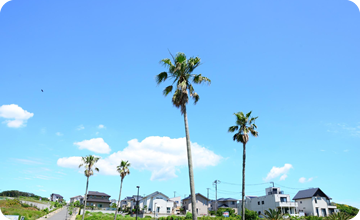 写真：葉山・横須賀西地区